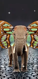 Surreal elephant with butterfly wings on cobblestone path.