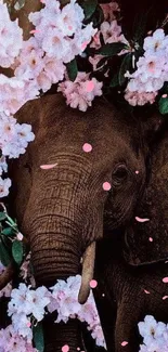 Mobile wallpaper with elephant amidst pink flowers.