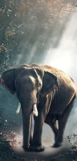 Elephant in a sunlit, mystical forest landscape.