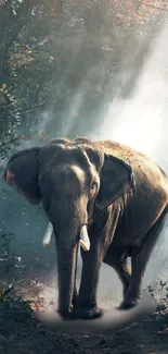 Elephant walks in a misty forest illuminated by dreamy light.