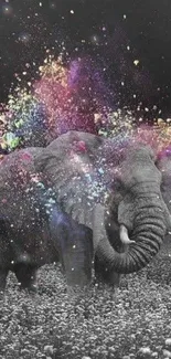 Elephant Nature Working Animal Live Wallpaper