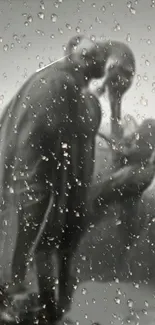 Elephant silhouettes through raindrops on glass, with a soft gray background.