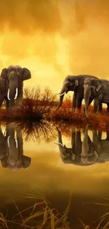 Three elephants reflect in golden sunset waters, creating a serene mobile wallpaper.