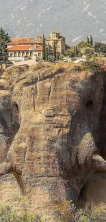 Elephant-shaped rock with village on top, ideal for mobile wallpaper.