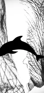 Dolphin silhouette with elephant skin texture in black and white theme.