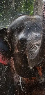 Playful elephant splashing in water, full of energy and life.