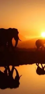 Elephant silhouettes at sunset with reflections on a serene water surface.