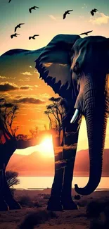 Elephant silhouette at sunset with vibrant sky and birds flying overhead.