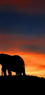 Elephant silhouette against vibrant sunset sky, perfect mobile wallpaper for nature lovers.