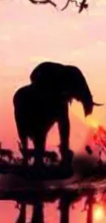 Elephant silhouette in vibrant sunset, mobile wallpaper.