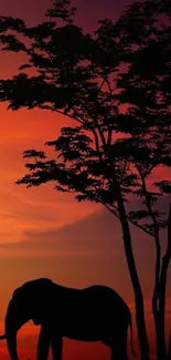 Elephant and tree silhouette with vibrant sunset.