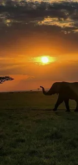 Elephant silhouette in front of a vibrant orange sunset on the savannah.