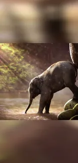 Elephant Water Working Animal Live Wallpaper