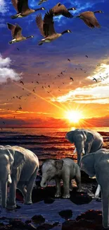 Elephants on beach at sunset with birds in sky.