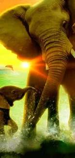 Elephants walking on beach at sunset.