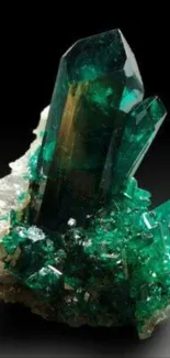 Emerald crystal gemstone on black background mobile wallpaper.