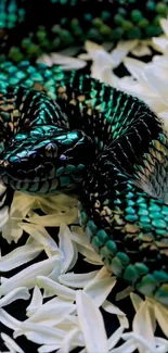 Emerald snake coiled on white petals.