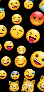 Colorful emoji wallpaper with various expressions on a black background featuring cats.