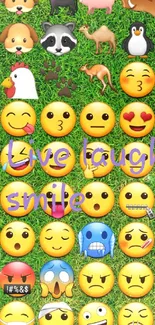 Colorful emojis on a green grass background wallpaper.