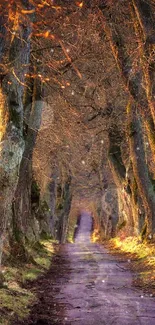 Enchanted forest path with autumn leaves.