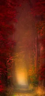 Mystical path through a crimson autumn forest, vivid and enchanting.