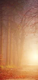 Enchanted autumn forest path with sunlight and mist.