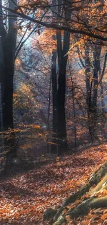 Majestic autumn forest with sunlit trees and vibrant leaves carpet.