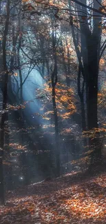 Enchanting autumn forest with glowing orange leaves.