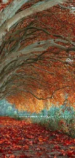 Vibrant autumn tree tunnel with fallen leaves and scenic pathway.