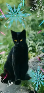 A black cat sits in a magical, green forest with colorful patterns.