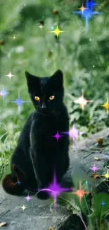 Black cat with sparkling stars on green background.