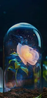 Glowing flower under a cosmic glass dome.