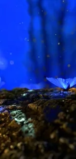 Blue butterflies resting in a magical forest setting with glowing lights.