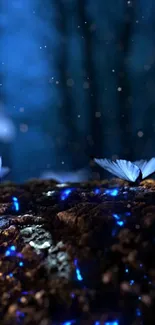 Enchanted blue butterflies in dim forest glow.