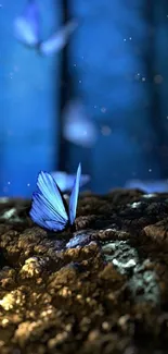 Mystical blue butterfly resting in an illuminated forest setting with a whimsical glow.