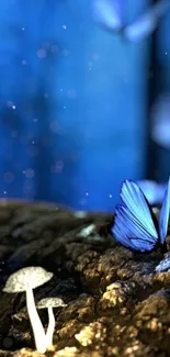 Enchanted blue butterfly and mushrooms in a mystical forest setting.