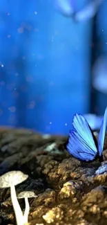 Blue butterfly and mushrooms in a mystical forest scene.