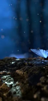 Blue butterflies rest on a forest floor under a deep blue night sky.