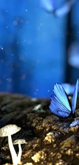 Blue butterfly in a mystical forest with glowing fungi and ethereal lights.