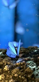 Blue butterfly in a dreamy forest scene.