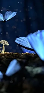 Blue butterflies and glowing mushrooms on a dark background for mobile wallpaper.