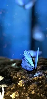 Blue butterfly in a mystical forest setting with a serene ambiance.