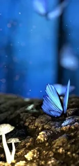 Blue butterfly and mushrooms in mystical forest scene.