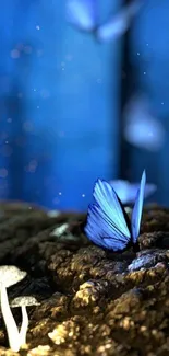 Enchanted scene with blue butterfly and glowing mushrooms.