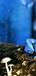 Mystical wallpaper with blue butterflies and glowing mushrooms in a forest.