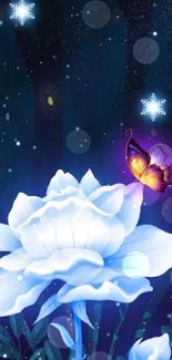 White lotus and butterfly with glowing blue night background.