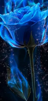 Vibrant blue rose with mystical glow