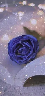 Blue rose on a glittery open book with warm lights.