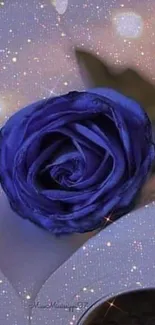 Blue rose with sparkling details over an open book.