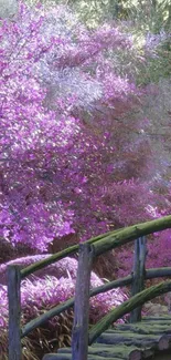 Enchanted pink forest with wooden bridge.